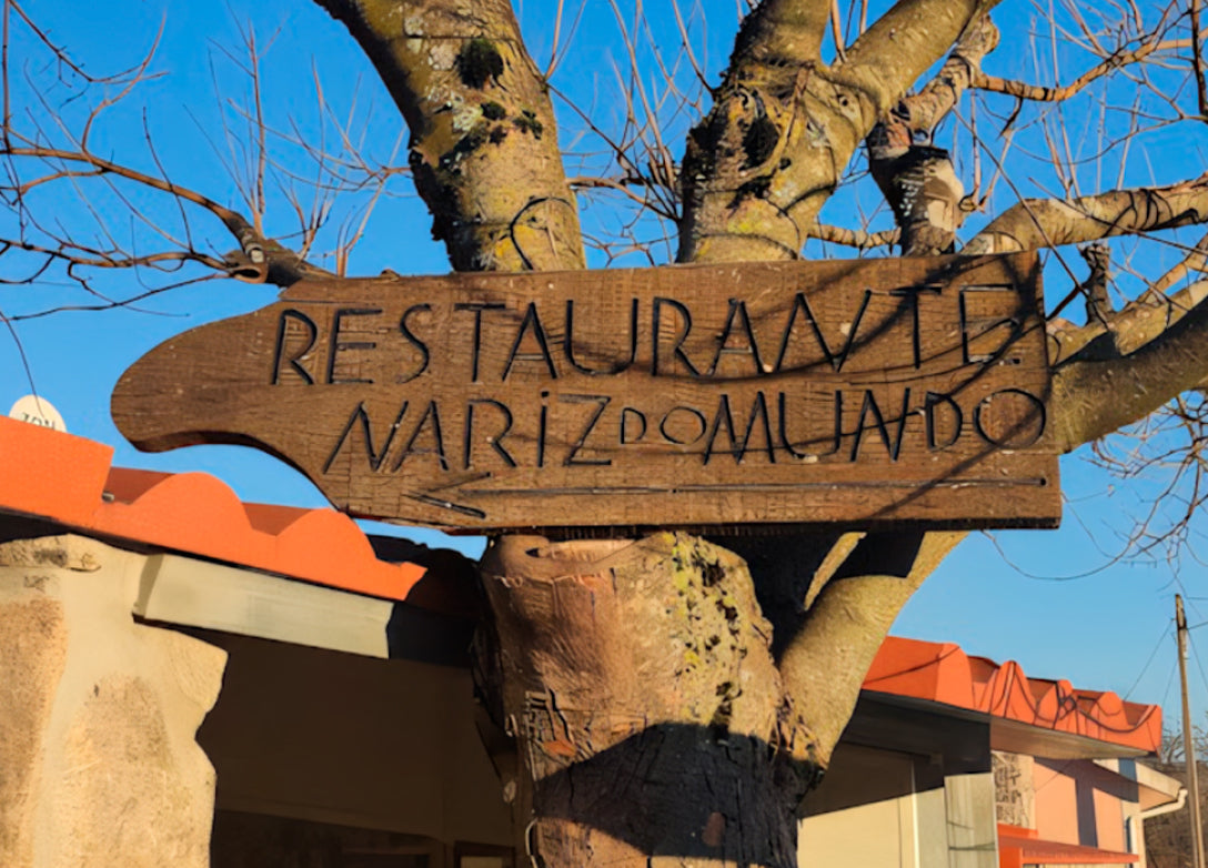 S. Martinho | Mega Convivio