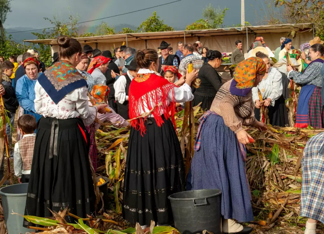 Festa da Desfolhada | 3 Migueis Penafiel