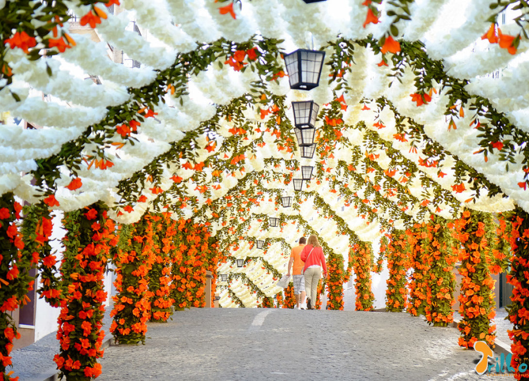 Festa das Flores | Campo Maior
