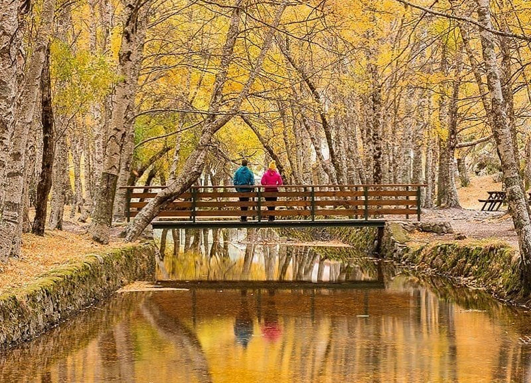 Rota das Faias | Serra da Estrela