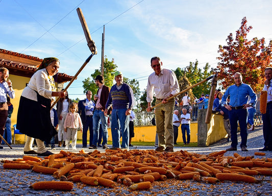 Desfolhada Tradicional | Ermesinde