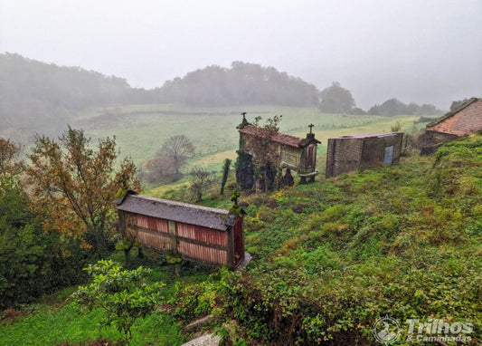 Trilho Mixões da Serra