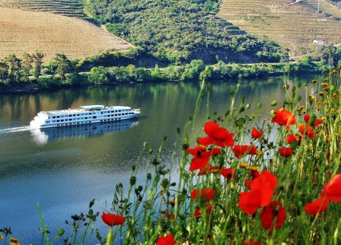 Cruzeiro Douro | Régua - Porto
