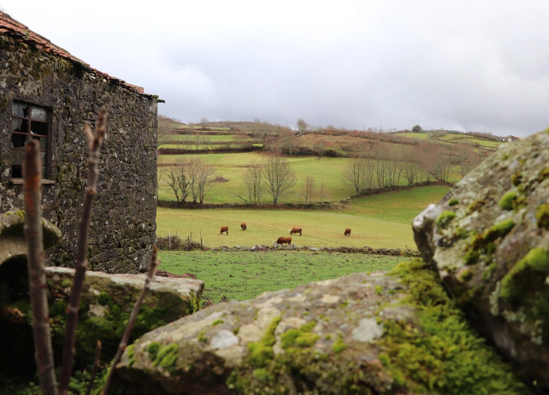 Montalegre | Fumeiro, Cozido e Vilarinho