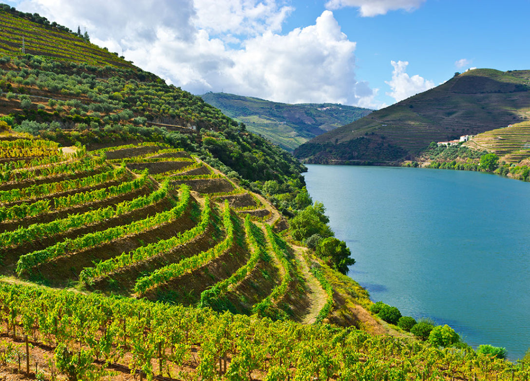 Cruzeiro Douro | Régua - Porto