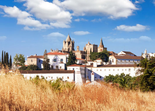 Alentejo e Badajoz | Festa das Flores