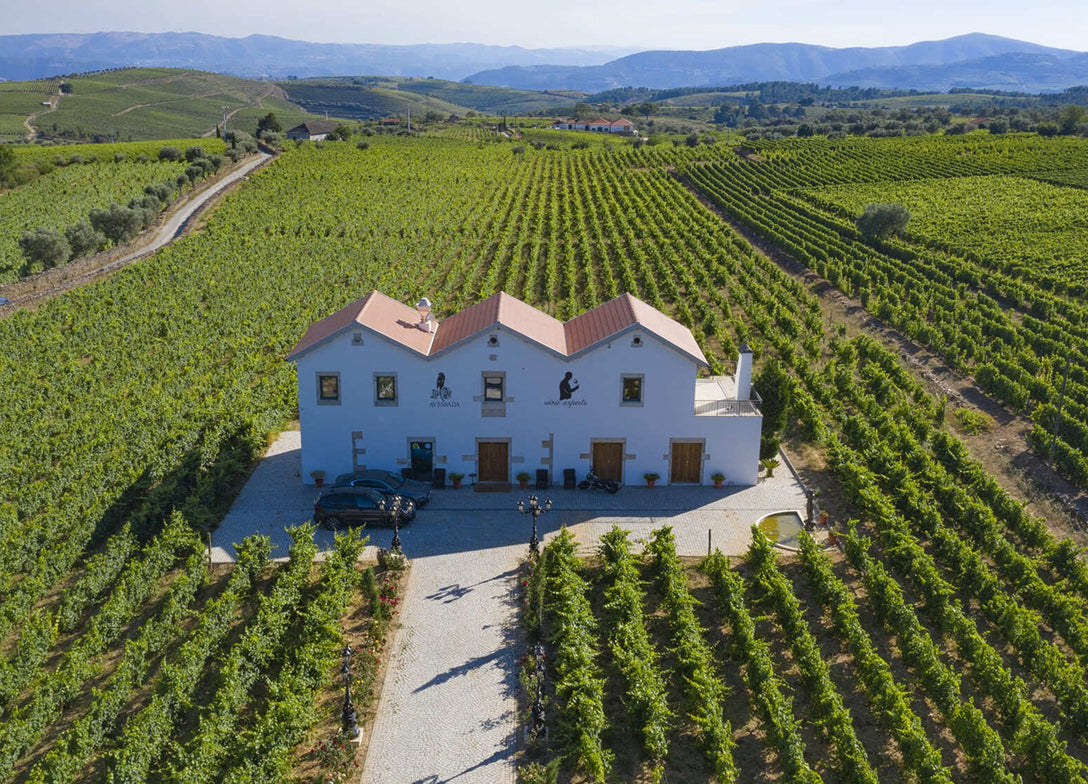 Vindimas no Douro | Quinta da Avessada